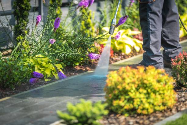Best Patio and Deck Pressure Washing  in Eclectic, AL