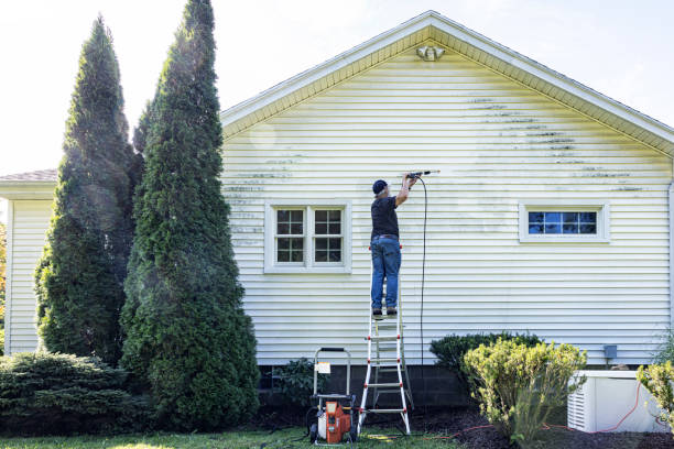 Best Gutter Cleaning  in Eclectic, AL